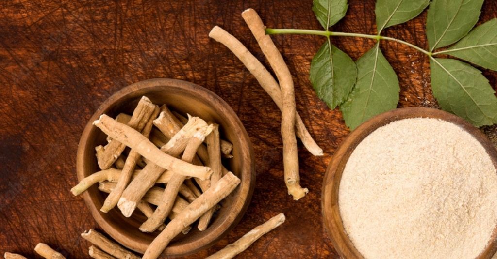 Raiz seca de ashwagandha, pó de ashwagandha e folhas frescas de ashwagandha em uma mesa de madeira. Ashwagandha é seguro para animais de estimação?