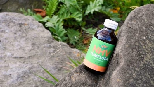 A bottle of our new supplement, TumFlora, resting on rocks outside with green foliage in the background.