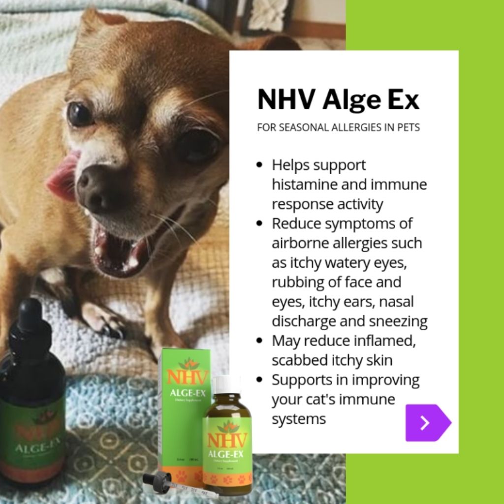NHV Alge ex for allergies in dogs and cats