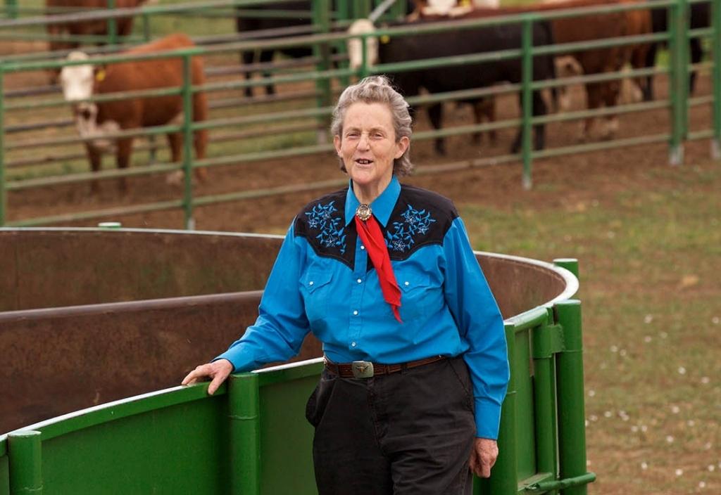 Temple Grandin standing next to fencing with cows in the background. Happy International Women's Day: 6 women changing the world for animals