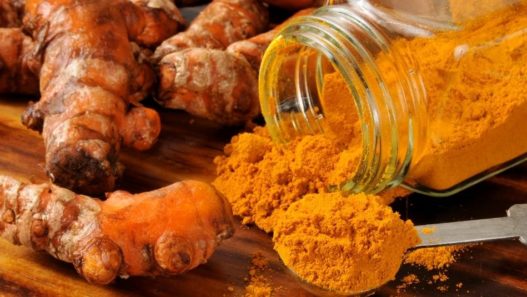 Bladder and Kidney stones in pets are a common condition. Read more to learn about how Turmeric can help support pets with this condition.
