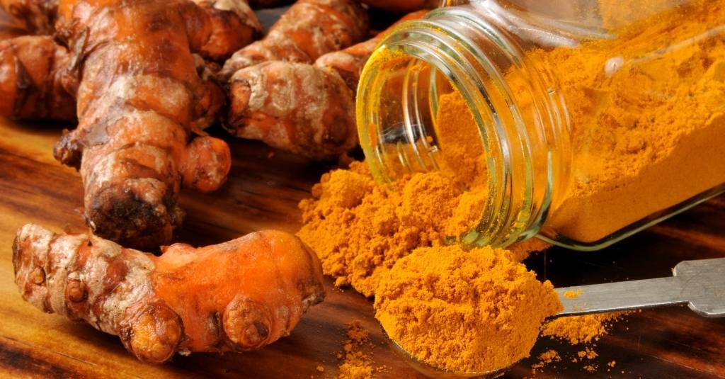 Bladder and Kidney stones in pets are a common condition. Read more to learn about how Turmeric can help support pets with this condition.