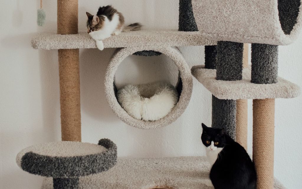A very elaborate cat tree with perches, tunnels, beds and scratching posts. There are 3 cats on the tree: one is spotted and slightly out of frame, there is a brown and white cat in the middle of the cat tree and a black and white tuxedo cat in the bottom of the frame. 