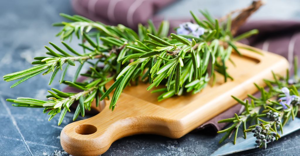image of a small cutting board with rosemary sprigs on top. there is also a knife beside the cutting board with more rosemary on top of the knife. rosemary for dogs and cats.