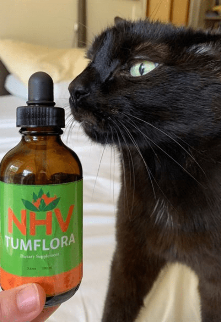 Image of a black cat smelling a bottle of Tumflora, a herbal supplement that helps address inflammatory bowel disease in cats naturally.