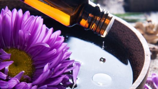 amber glass bottle is being poured into a bowl of water with a purple flower floating on the surface. are essential oils safe for dogs and cats