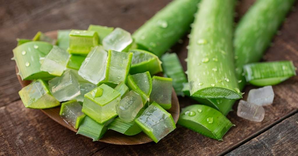 Lush green aloe vera leaves being chopped into a brown bowl.