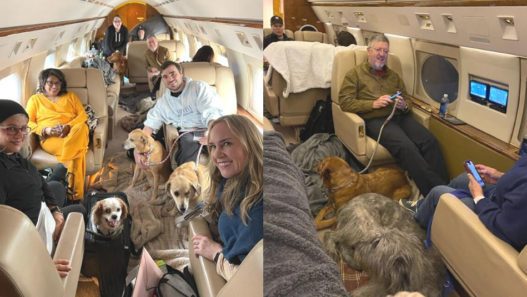 Collage with two photos of pet parents inside an airplane with their dogs to illustrate how to fly with a large dog.