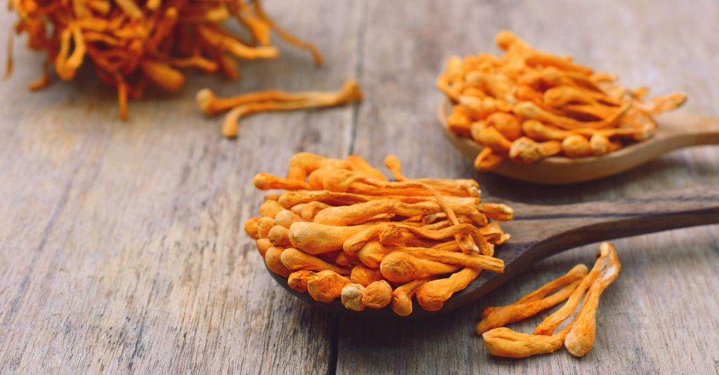 Photo of a table top with a wooden spoon filled with orange mushrooms to represent cordyceps for dogs and cats.