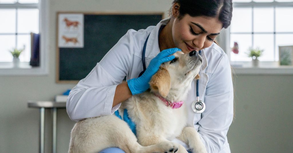 Photo of a female vet caring for a puppy to represent how often to deworm dogs and cats.