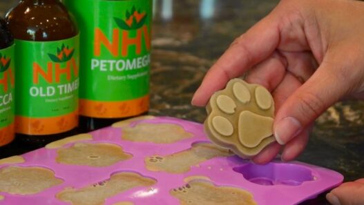 Photo to illustrate a blog about treats with collagen for dogs of a hand holding a paw shaped treat with three bottles of NHV supplements in the back that read Yucca, Old Timer and PetOmega 3.