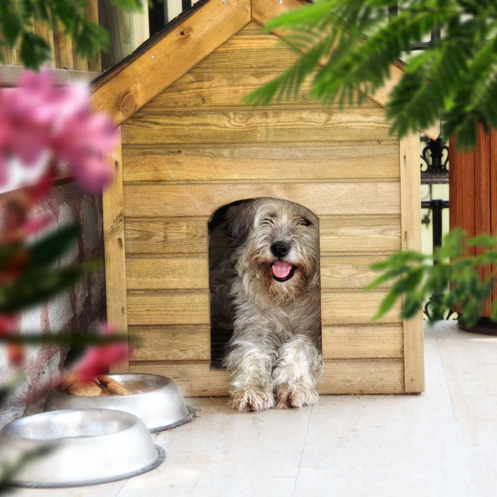 An image of a dog resting inside a dog house with a bowl of water nearby represents safe ways of keeping dogs cool in summer.
