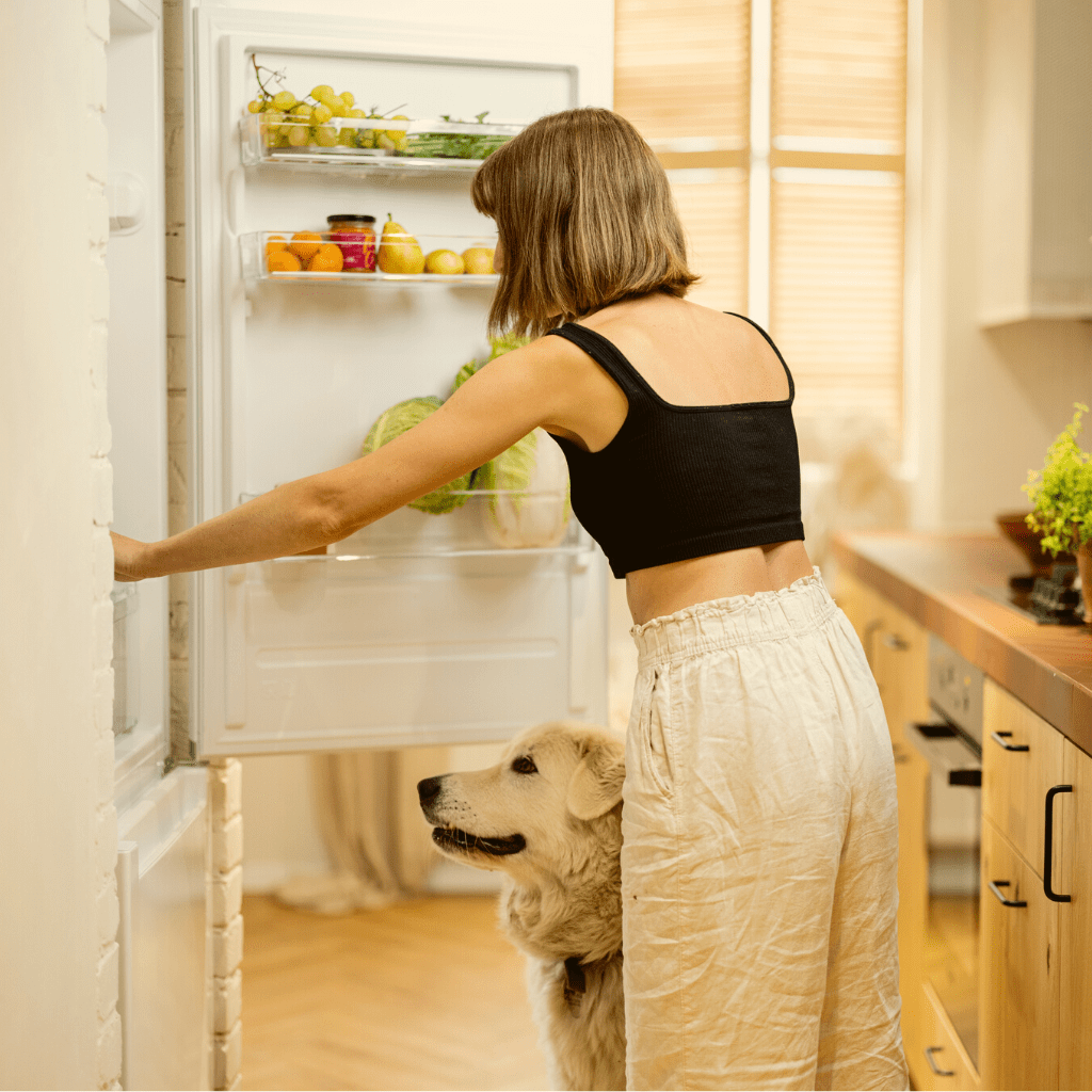 A photo of a girl opening the fridge to pick up the ingredients for a pumpkin dog treat recipe while her golden lab looking dog is also standing there looking at the open refrigerator. 