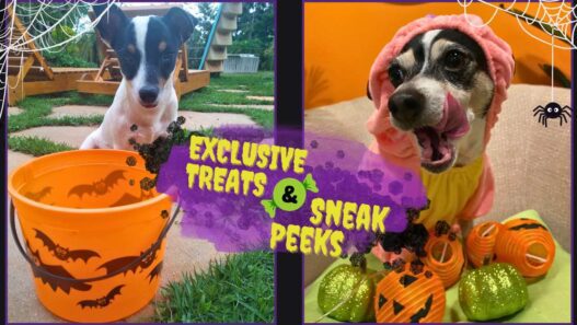 Graphic of two dogs dressed up for Halloween to illustrate a blog that explains the rules of NHV Halloween Costume Contest for Exclusive Treats and Sneak Peeks