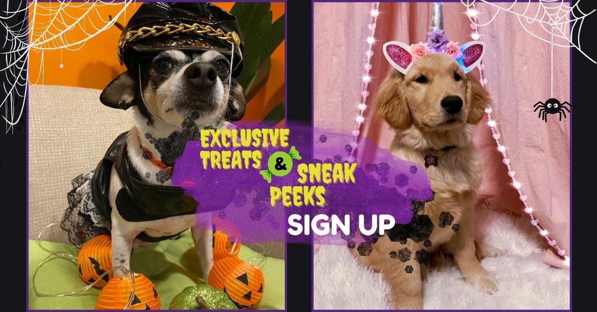 Graphique de deux chiens habillés pour Halloween pour illustrer un blog contenant le formulaire d'inscription au concours de costumes d'Halloween NHV pour des friandises exclusives et des aperçus