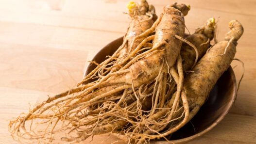 Image of an asian ginseng for dogs and cats