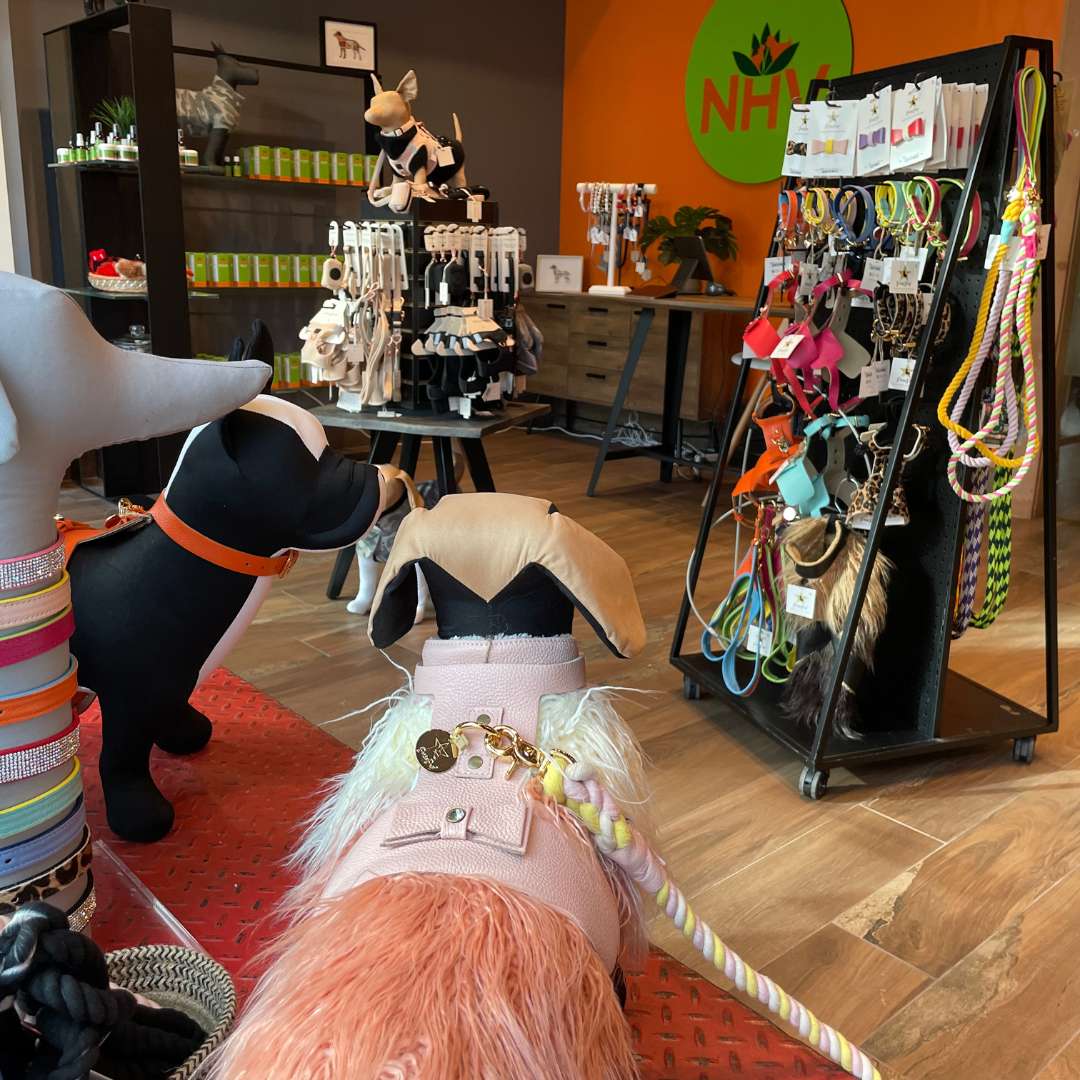 The inside of NHV holistic pet store, featuring a range of pet toys, accessories, clothes, and supplements.
