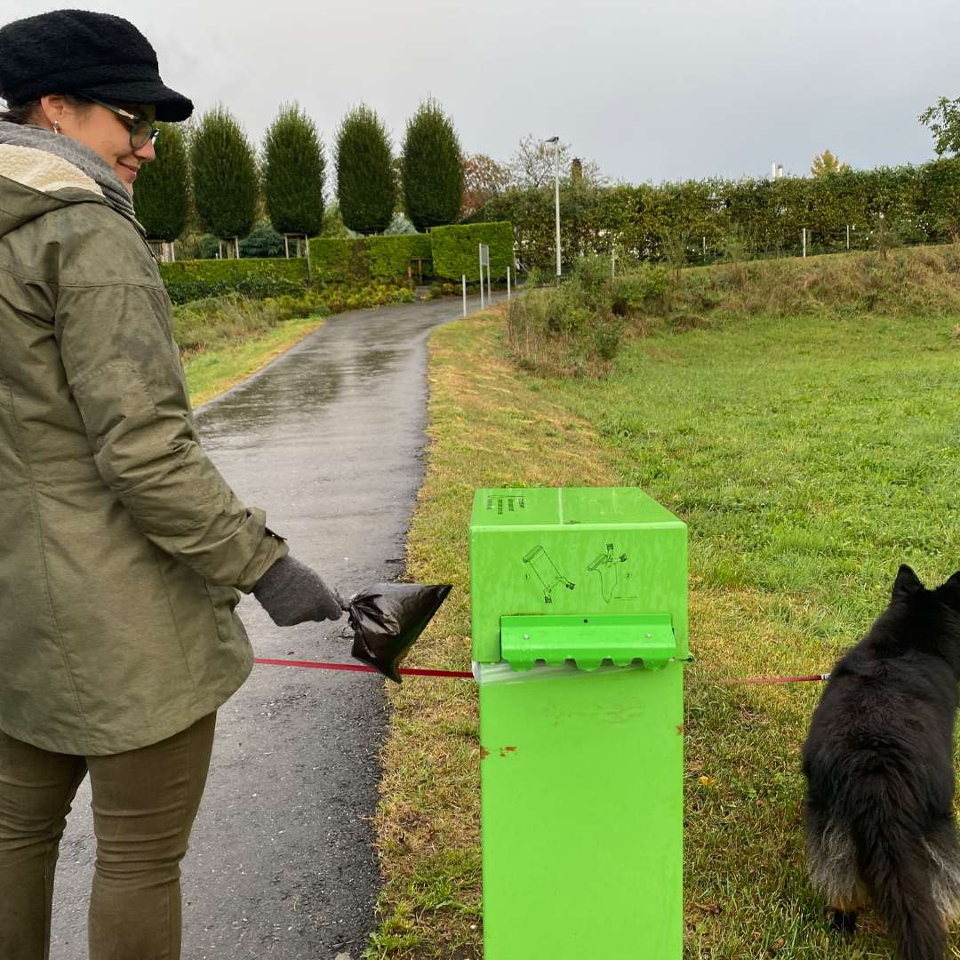 Disposal of pet waste/dog poop bags into a green bin. 
