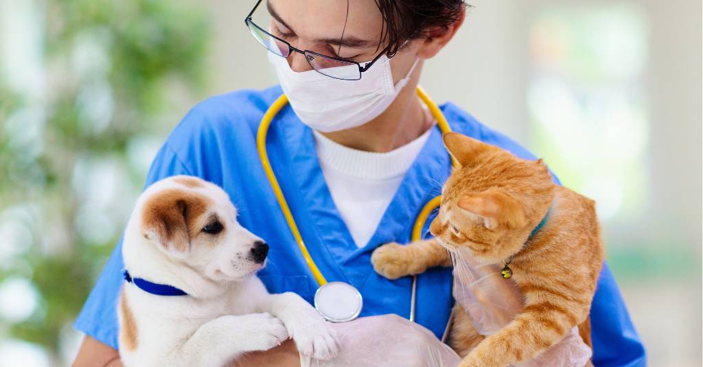 A vet holding a puppy and a cat.