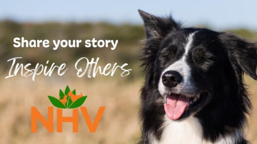 A dog in a field. The on-screen text reads "share your story, inspire others.: