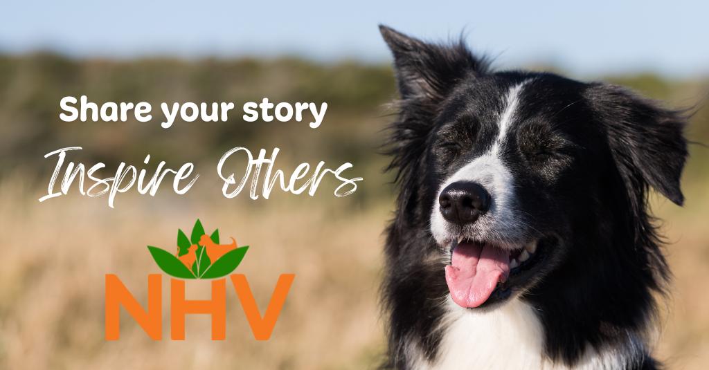 A dog in a field. The on-screen text reads "share your story, inspire others.: