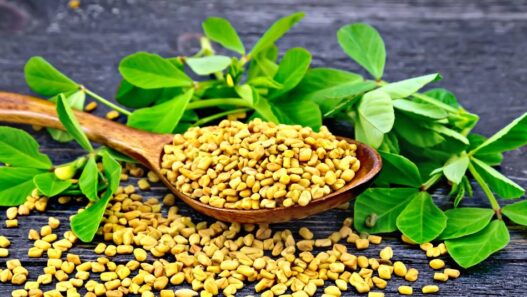 A spoonful of fenugreek amongst leaves.