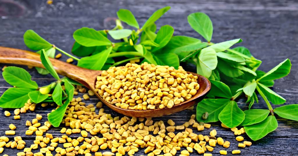 A spoonful of fenugreek amongst leaves.