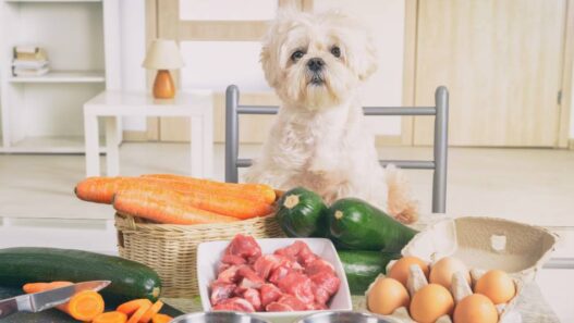 A dog beside fresh foods like carrot, zucchini, eggs, and meat.