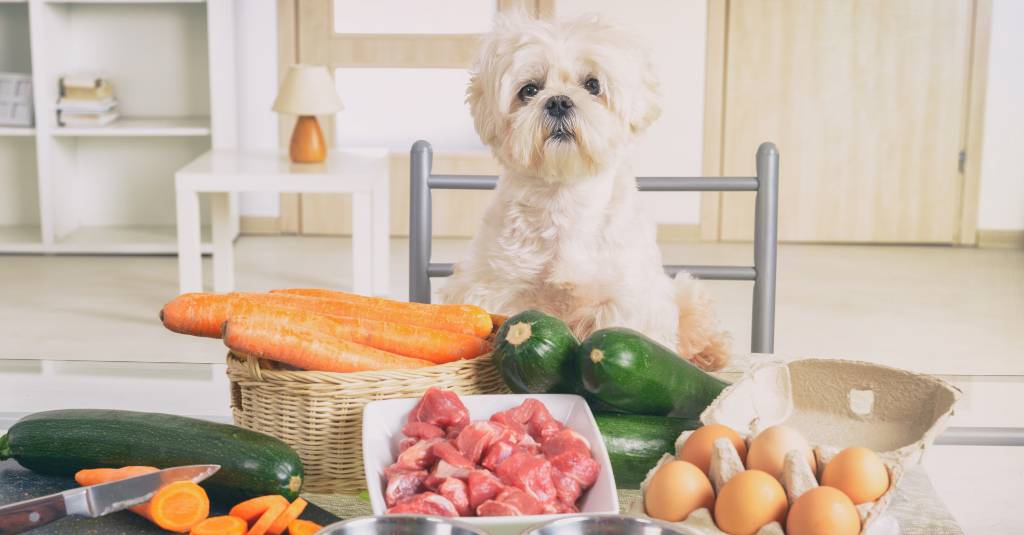 A dog beside fresh foods like carrot, zucchini, eggs, and meat.