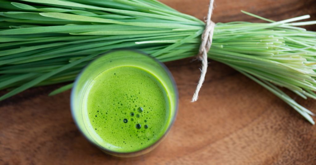 Wheatgrass bundle and a wheatgrass smoothie.