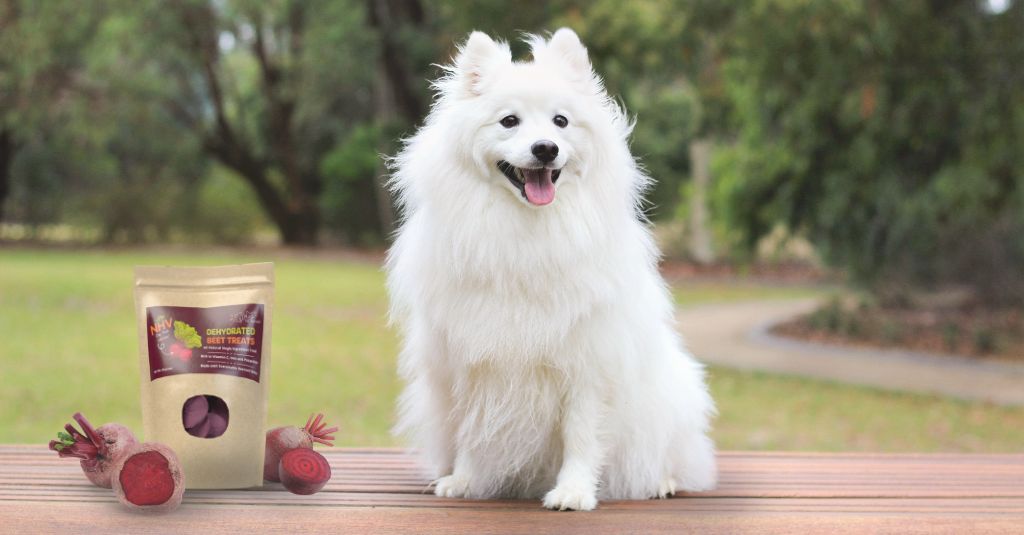 A dog sitting next to NHV Dehydrated Beet Treats.