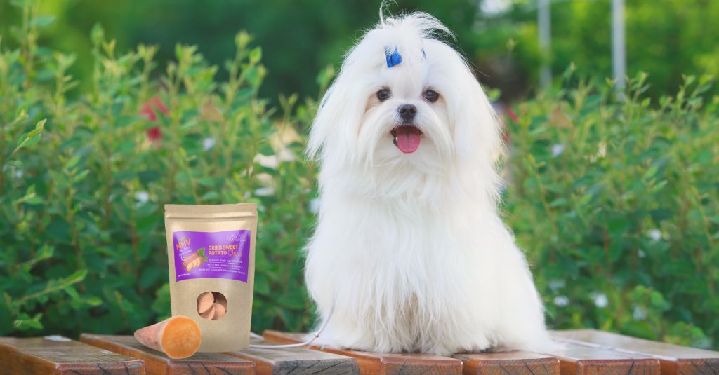 A dog sitting next to NHV Sweet Potato Treats.