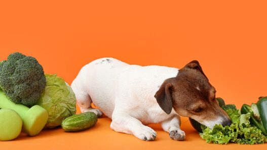 A dog next to raw vegetables.