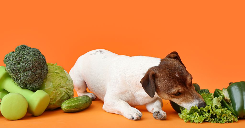 A dog next to raw vegetables.