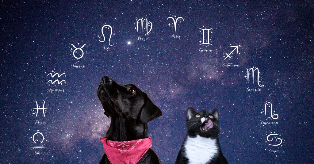 Pet Zodiac Signs image