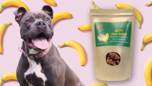 Nutty Paw-Nanas healthy dog treats blog image.