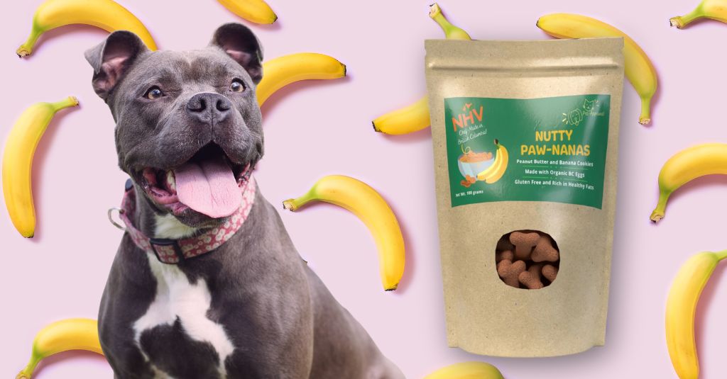 Nutty Paw-Nanas healthy dog treats blog image.