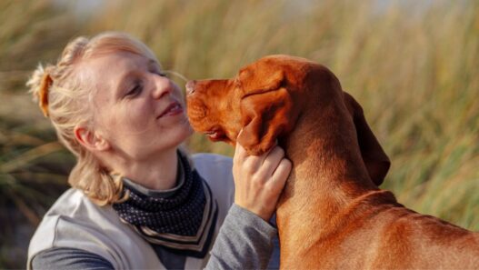 A human woman crouched down to bond with a dog.