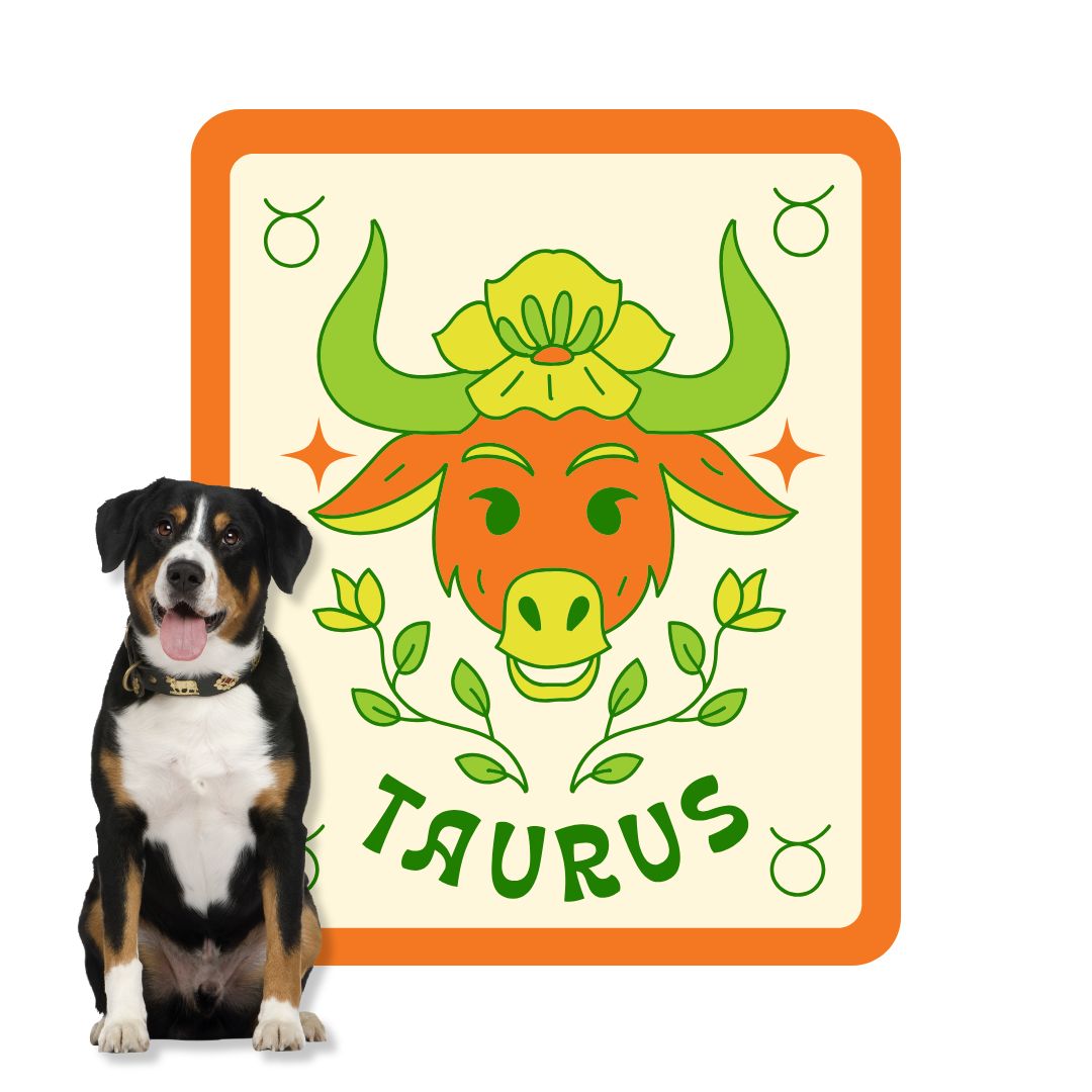 Taurus pets image