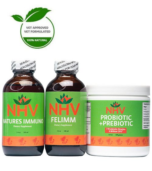 Chronic Infections Super Support Kit