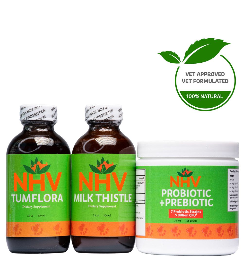 Pet Recovery & Immune Support Kit