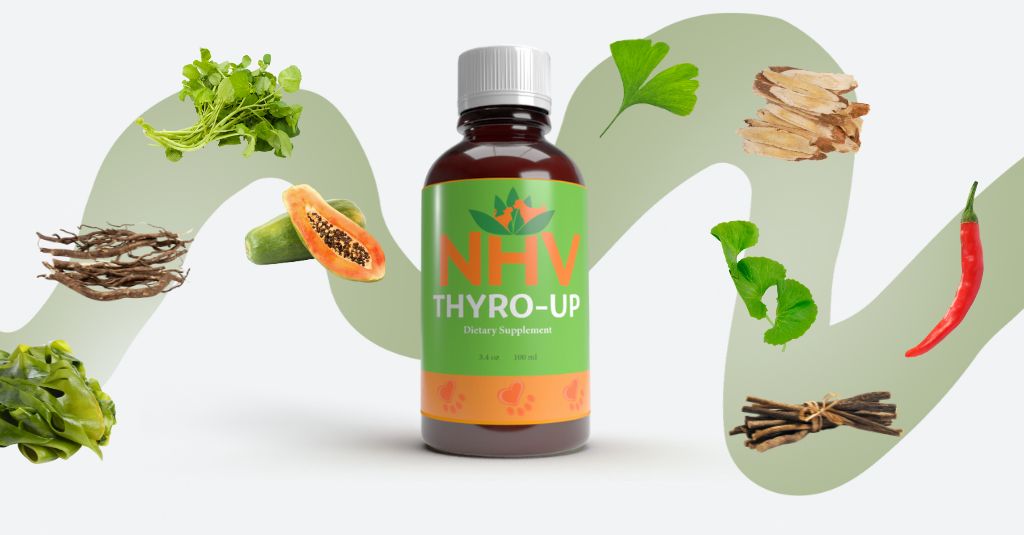 NHV Thyro-up ingredients image for blog header.