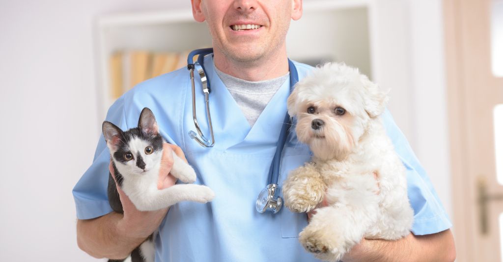 Header image for hyperthyroidism/ hypothyroidism in dogs and cats blog for NHV.