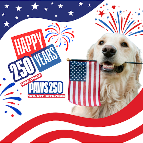 4th of july sales banner