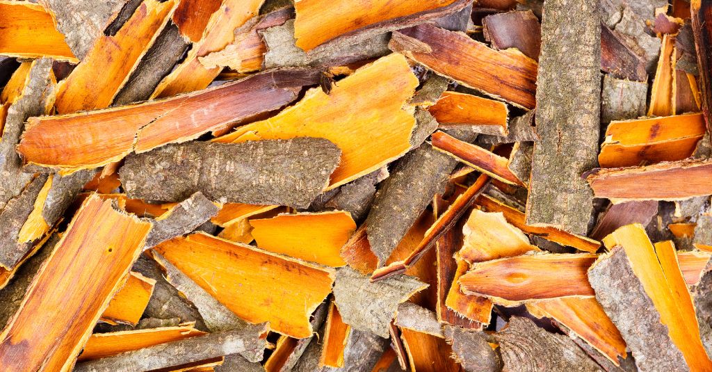 An image of the buckthorn bark for pets blog by NHV.